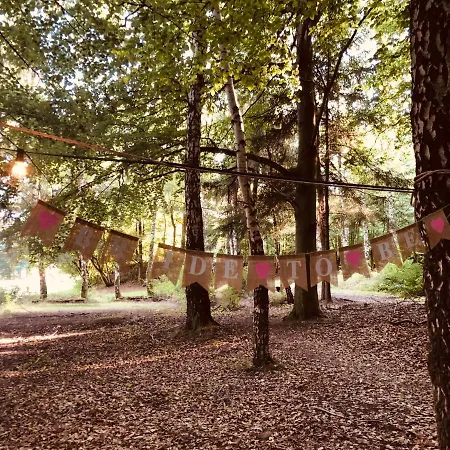 Explorer Hut Gottingen Harz Апартаменты Landolfshausen